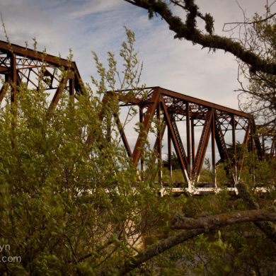 Salinas River Railroad Bridge Neponset CA