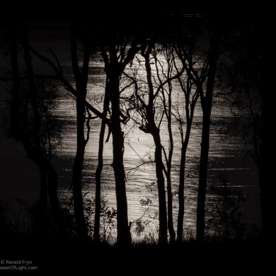 Full Moon reflection over Lake Dyer, Laidley, Australia