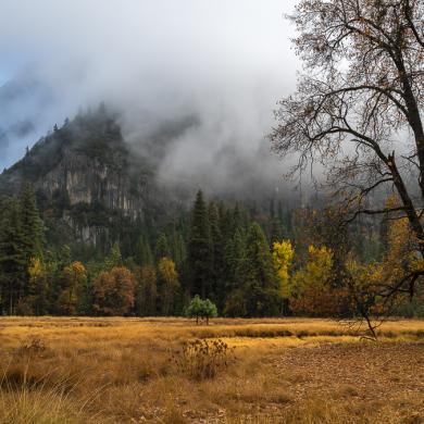 CA, Places, USA, Yosemite